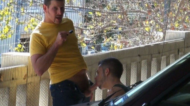 Gay Violations Discount